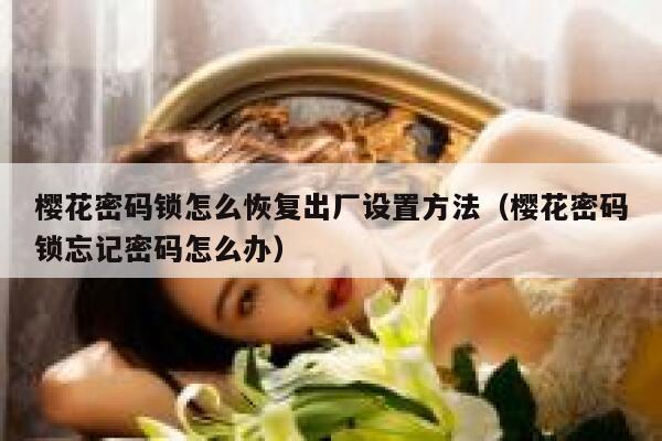 樱花密码锁怎么恢复出厂设置方法（樱花密码锁忘记密码怎么办） 第1张