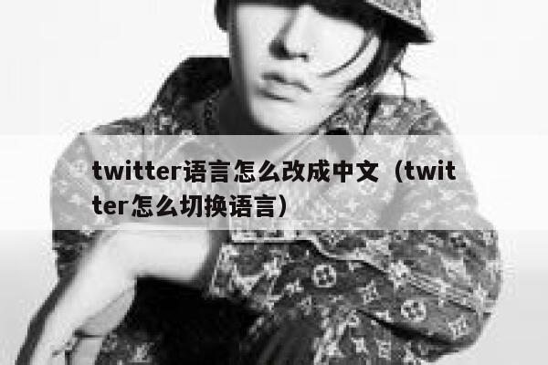 twitter语言怎么改成中文（twitter怎么切换语言） 第1张