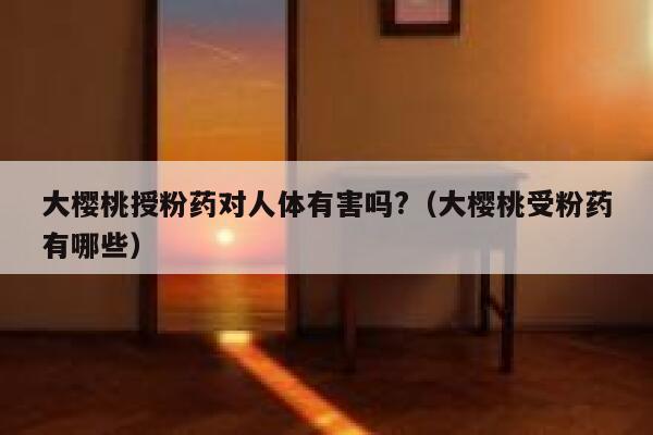 大樱桃授粉药对人体有害吗?（大樱桃受粉药有哪些） 第1张