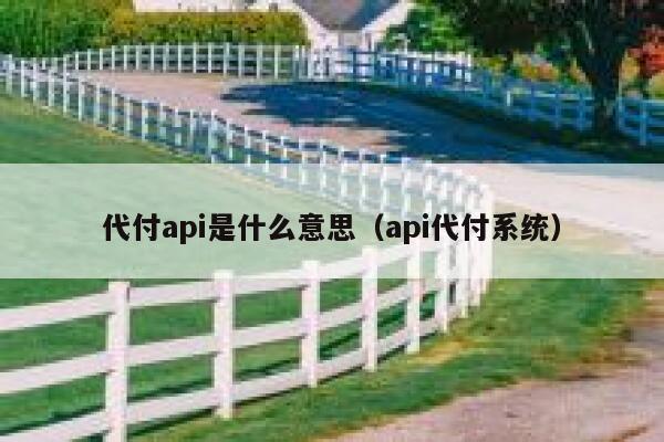 代付api是什么意思（api代付系统） 第1张
