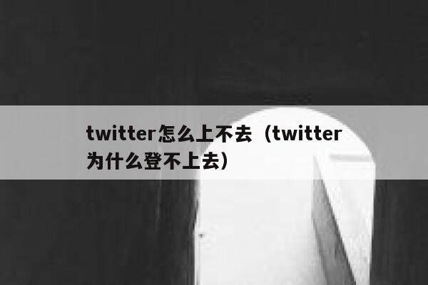 twitter怎么上不去（twitter为什么登不上去） 第1张