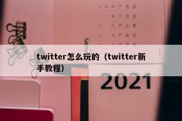 twitter怎么玩的（twitter新手教程） 第1张