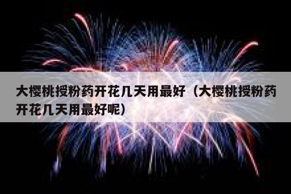 大樱桃授粉药开花几天用最好（大樱桃授粉药开花几天用最好呢） 第1张
