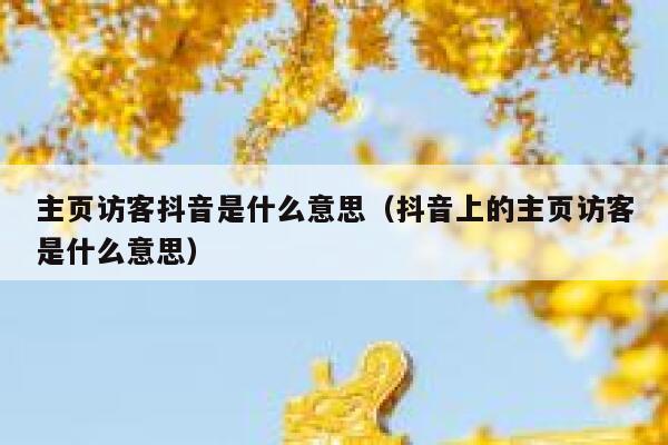 主页访客抖音是什么意思（抖音上的主页访客是什么意思） 第1张