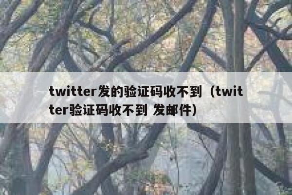twitter发的验证码收不到(twitter验证码收不到 发邮件) 第1张 twitter发的验证码收不到(twitter验证码收不到 发邮件) 第1张