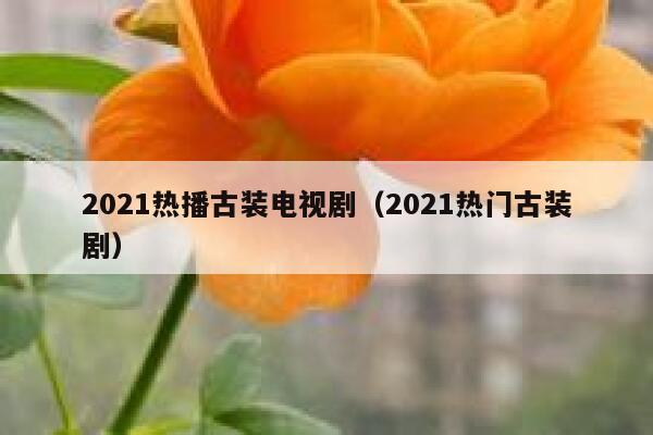 2021热播古装电视剧（2021热门古装剧） 第1张