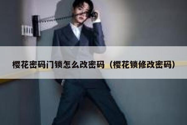 樱花密码门锁怎么改密码（樱花锁修改密码） 第1张