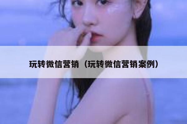 玩转微信营销（玩转微信营销案例） 第1张