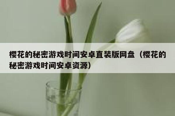 樱花的秘密游戏时间安卓直装版网盘（樱花的秘密游戏时间安卓资源） 第1张