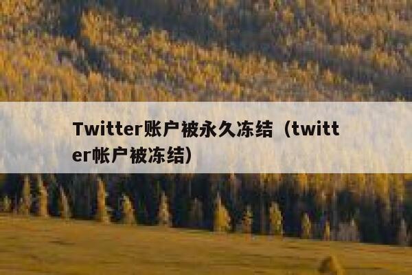 Twitter账户被永久冻结（twitter帐户被冻结） 第1张