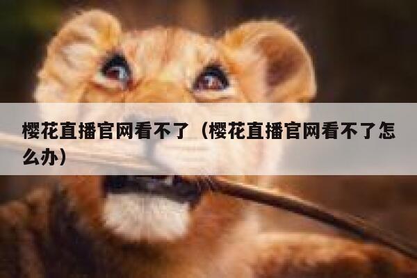 樱花直播官网看不了（樱花直播官网看不了怎么办） 第1张