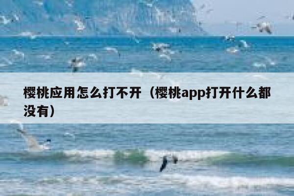 樱桃应用怎么打不开（樱桃app打开什么都没有） 第1张