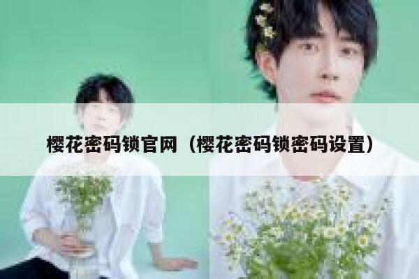 樱花密码锁官网（樱花密码锁密码设置） 第1张