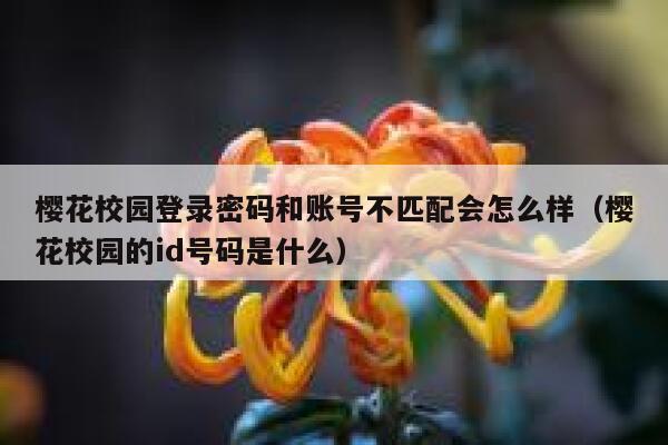 樱花校园登录密码和账号不匹配会怎么样（樱花校园的id号码是什么） 第1张
