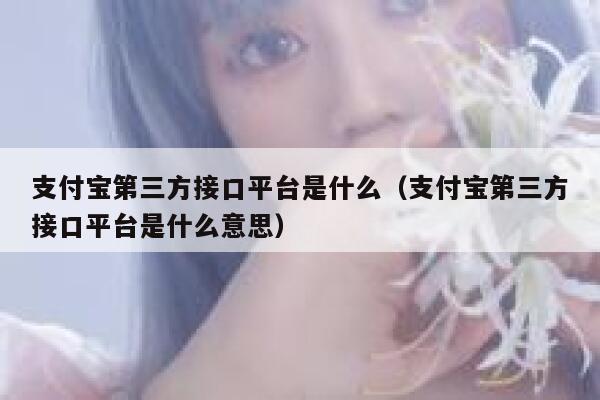 支付宝第三方接口平台是什么（支付宝第三方接口平台是什么意思） 第1张