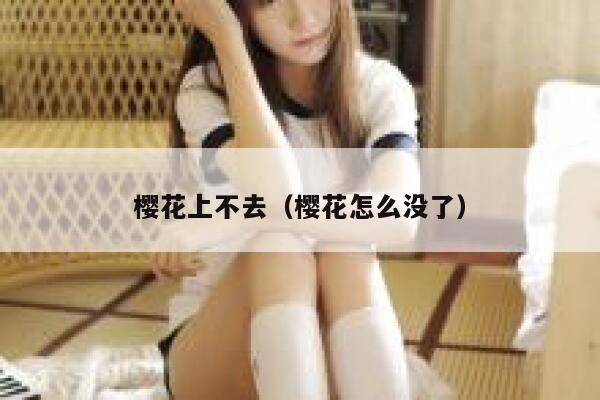 樱花上不去（樱花怎么没了） 第1张