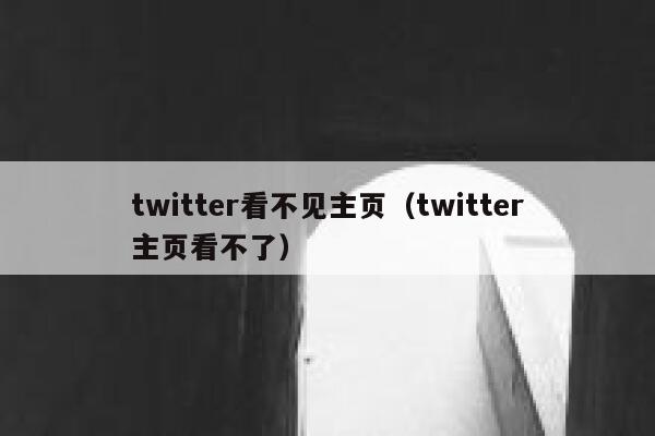 twitter看不见主页（twitter主页看不了） 第1张