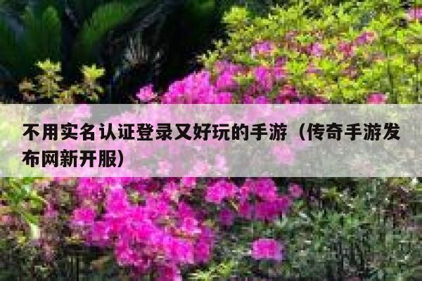 不用实名认证登录又好玩的手游（传奇手游发布网新开服） 第1张