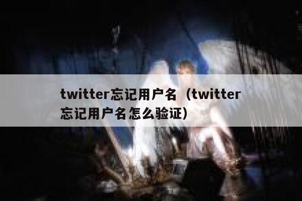 twitter忘记用户名（twitter忘记用户名怎么验证） 第1张