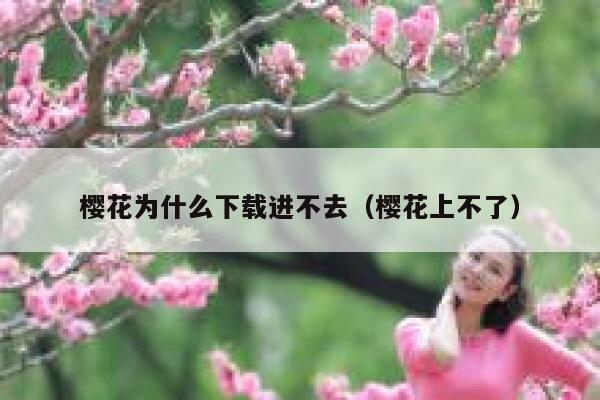 樱花为什么下载进不去（樱花上不了） 第1张