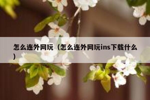 怎么连外网玩（怎么连外网玩ins下载什么） 第1张