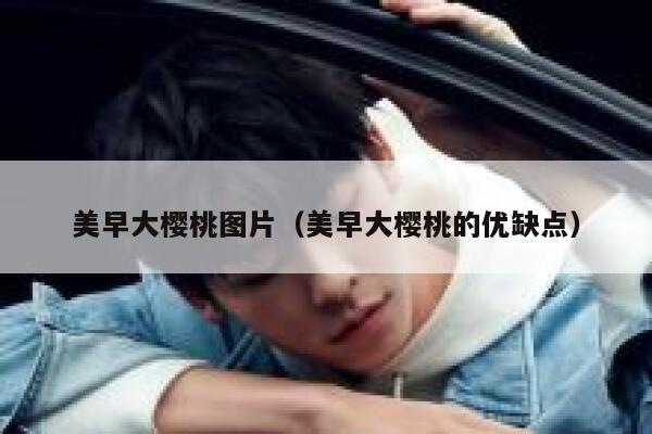 美早大樱桃图片（美早大樱桃的优缺点） 第1张
