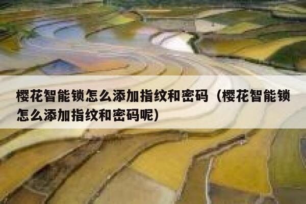 樱花智能锁怎么添加指纹和密码（樱花智能锁怎么添加指纹和密码呢） 第1张