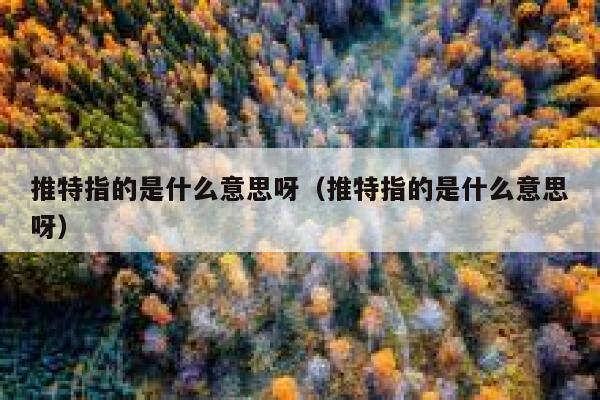 推特指的是什么意思呀（推特指的是什么意思呀） 第1张