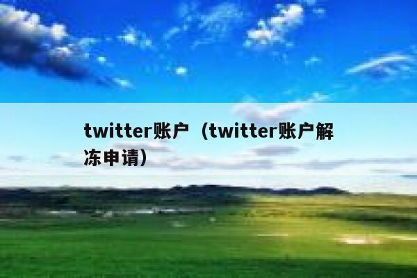 twitter账户（twitter账户解冻申请） 第1张