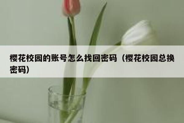 樱花校园的账号怎么找回密码（樱花校园总换密码） 第1张