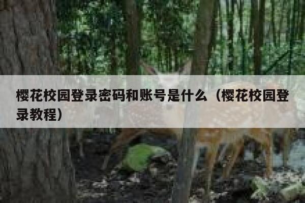 樱花校园登录密码和账号是什么（樱花校园登录教程） 第1张