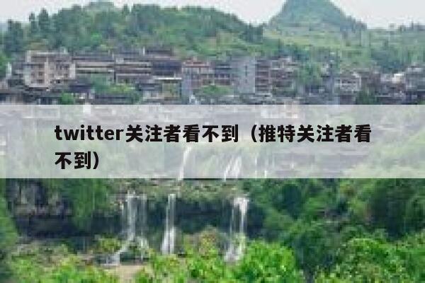 twitter关注者看不到（推特关注者看不到） 第1张