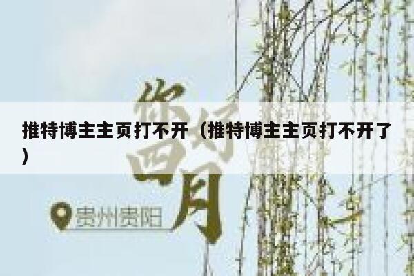 推特博主主页打不开（推特博主主页打不开了） 第1张