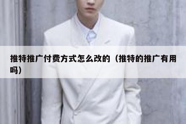推特推广付费方式怎么改的（推特的推广有用吗） 第1张