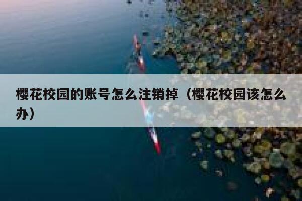樱花校园的账号怎么注销掉（樱花校园该怎么办） 第1张