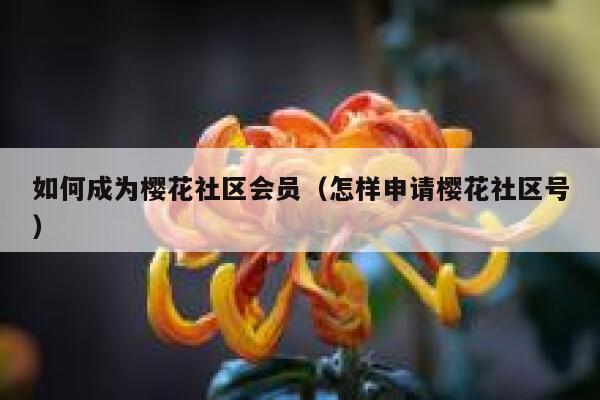 如何成为樱花社区会员（怎样申请樱花社区号） 第1张