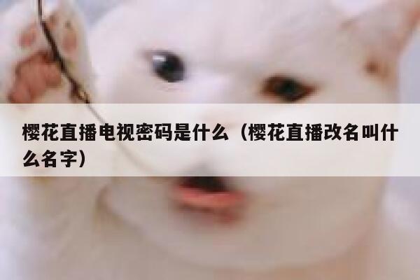 樱花直播电视密码是什么(樱花直播改名叫什么名字) 第1张 樱花直播电视密码是什么(樱花直播改名叫什么名字) 第1张