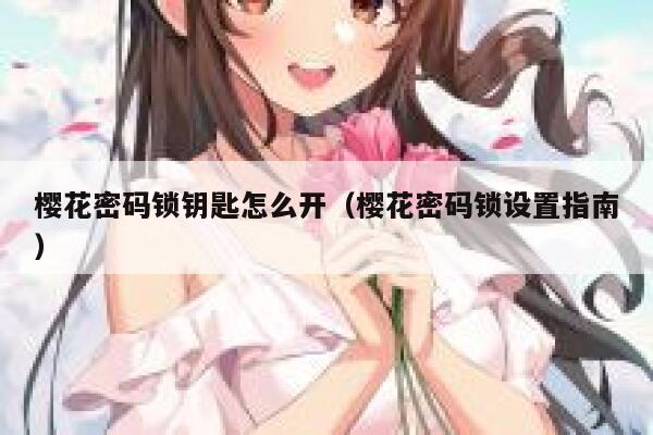 樱花密码锁钥匙怎么开（樱花密码锁设置指南） 第1张