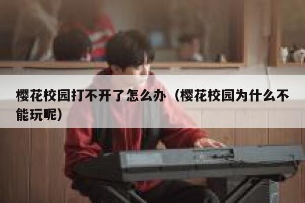 樱花校园打不开了怎么办（樱花校园为什么不能玩呢） 第1张