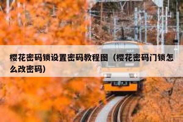 樱花密码锁设置密码教程图（樱花密码门锁怎么改密码） 第1张