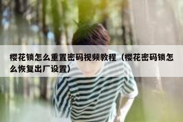 樱花锁怎么重置密码视频教程（樱花密码锁怎么恢复出厂设置） 第1张