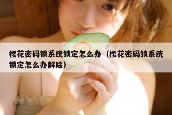 樱花密码锁系统锁定怎么办（樱花密码锁系统锁定怎么办解除） 第1张