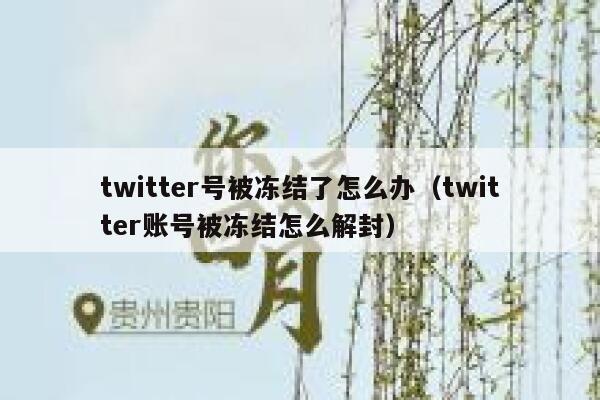 twitter号被冻结了怎么办（twitter账号被冻结怎么解封） 第1张