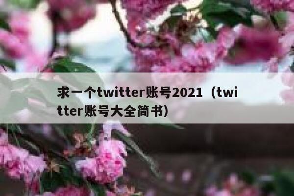 求一个twitter账号2021（twitter账号大全简书） 第1张
