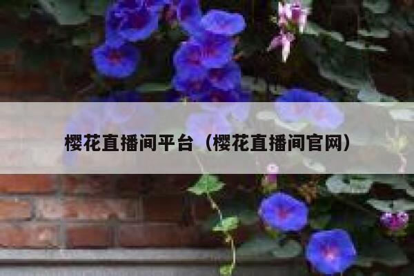 樱花直播间平台（樱花直播间官网） 第1张