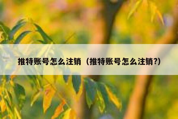 推特账号怎么注销（推特账号怎么注销?） 第1张