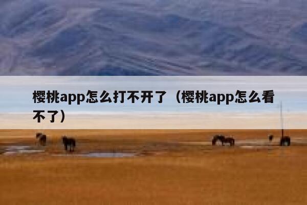 樱桃app怎么打不开了（樱桃app怎么看不了） 第1张