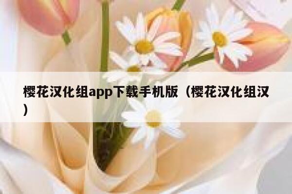 樱花汉化组app下载手机版（樱花汉化组汉） 第1张
