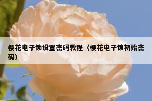樱花电子锁设置密码教程（樱花电子锁初始密码） 第1张