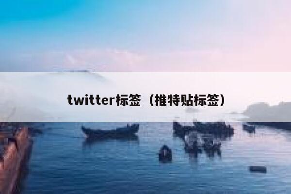 twitter标签（推特贴标签） 第1张
